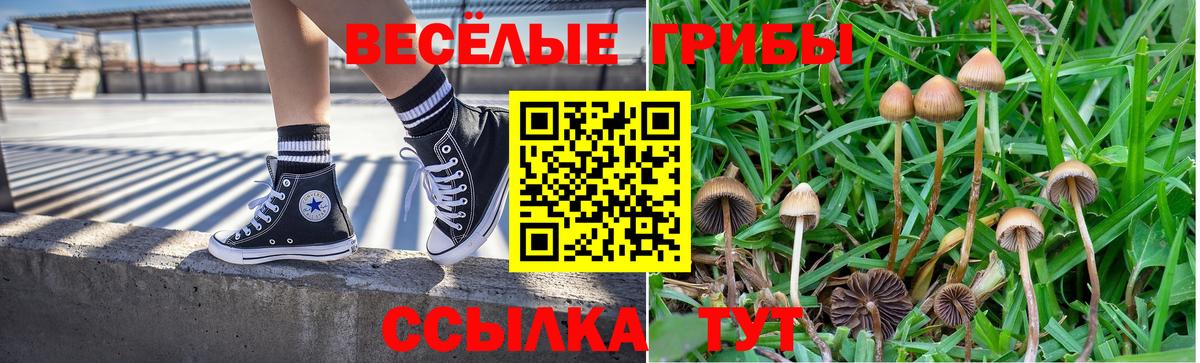 Галлюциногенные грибы Cubensis Лабинск